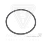 O-Ring, Large, Actuator Assembly, Insta I