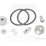 Repair Kit, Check Valve Assembly, 60 KSI