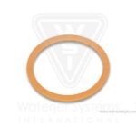 Back Up Ring, Plunger Head